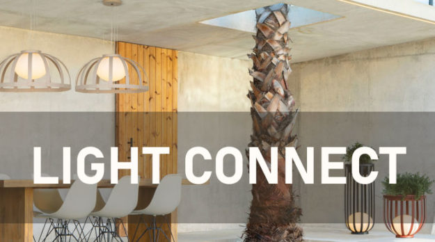 January 23rd Light Connect