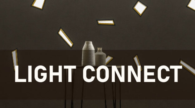 Light Connect August 21st