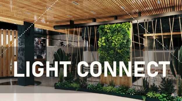 August 1st Light Connect